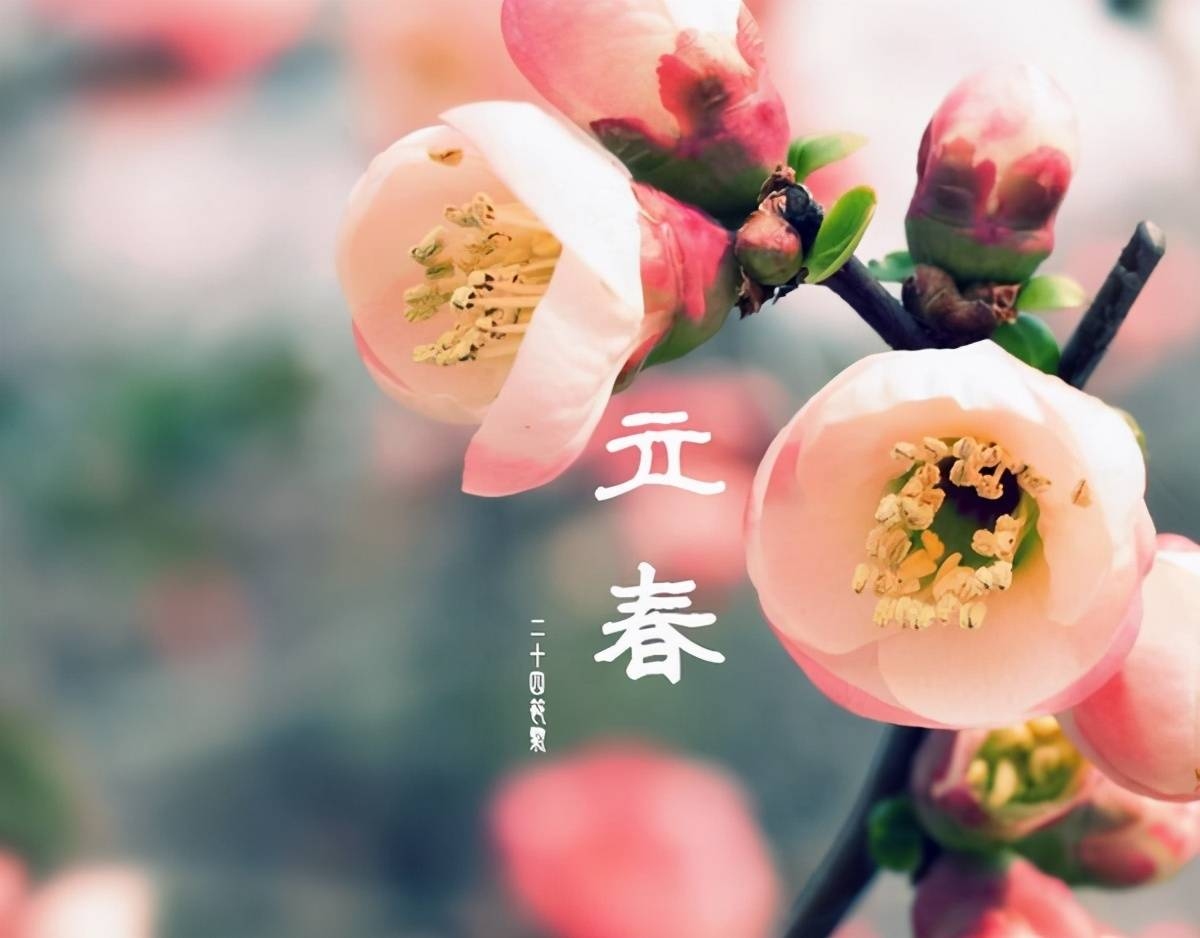 立春时刻，2021年立春具体时间揭晓插图