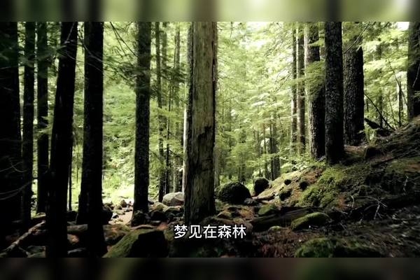 楼房倒塌梦境解析，事业顺利但需防冒进，健康需关注插图