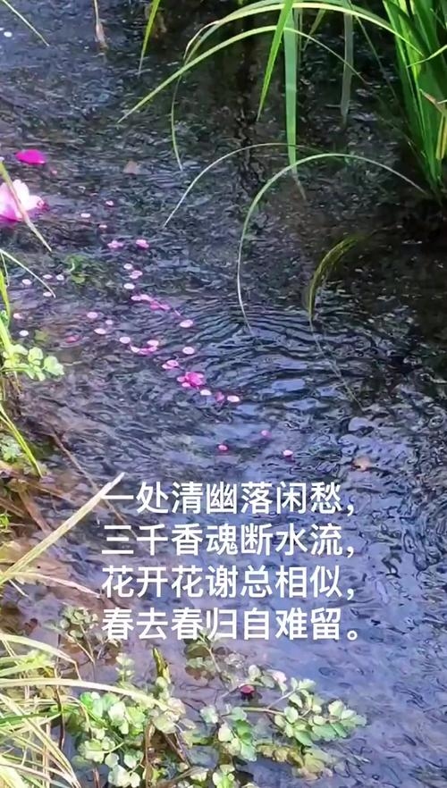落花流水，四季轮回中的自然馈赠插图