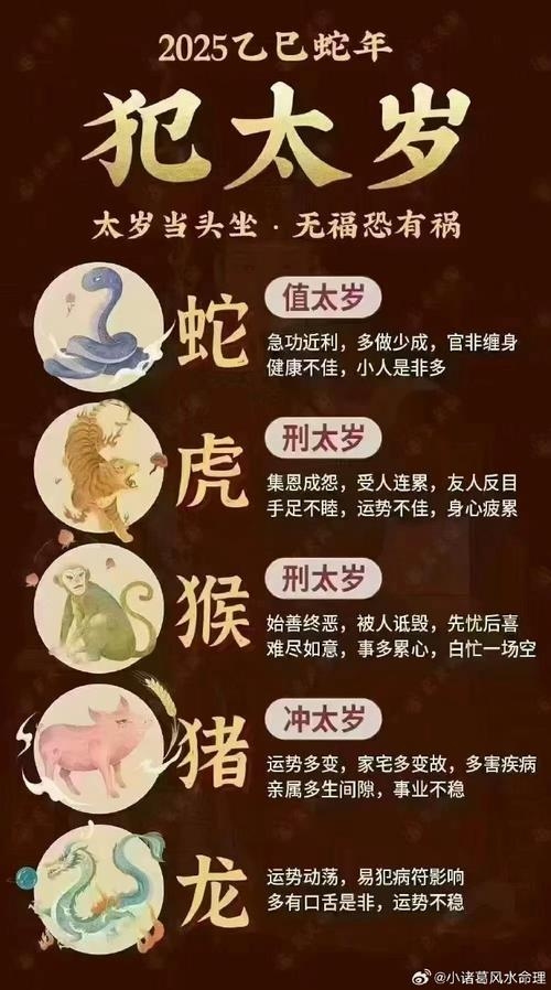 龙年犯太岁，生肖运势起伏大需化解插图