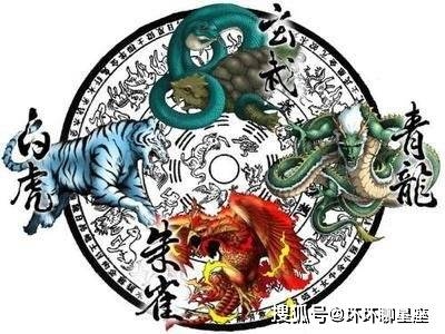 龙为生肖四，翻云覆雨对应龙。插图