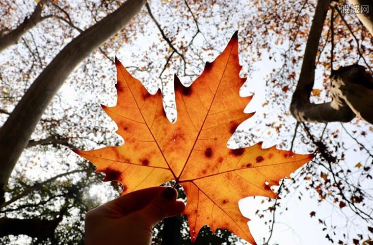 立秋时间2022年8月7日,阳历14时53分48秒插图 立秋时间2022年8月7日,阳历14时53分48秒插图