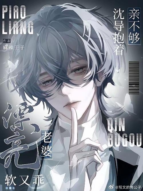 冷酷总裁的双面娇妻，宁少辰与沈蓓一的隐秘爱恋插图