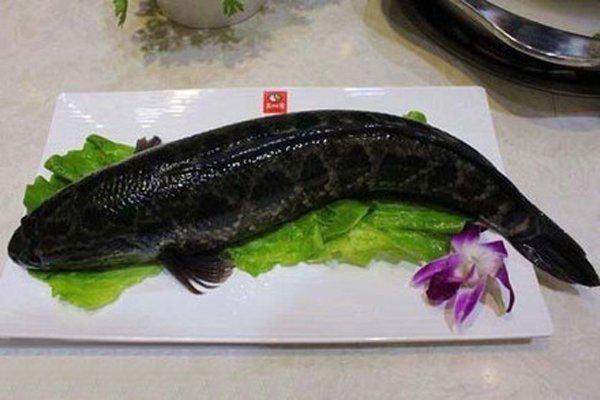 六月初六传统禁忌多，吃黑鱼忌讳、躲午避暑防中暑插图