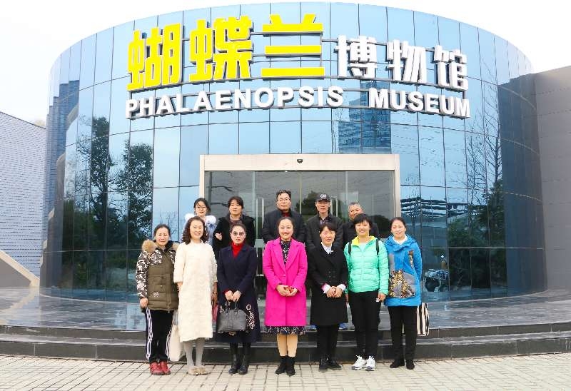 连云港百姓网征婚，彦涵美术馆享政府津贴插图