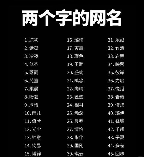 两字网名，简短而深邃的数字海洋之舟插图