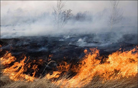 梦到大火，预示吉凶参半，健康与财运需留意插图