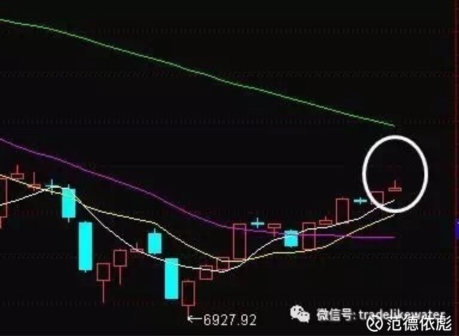 马的相关关键词匹配逻辑明确。插图