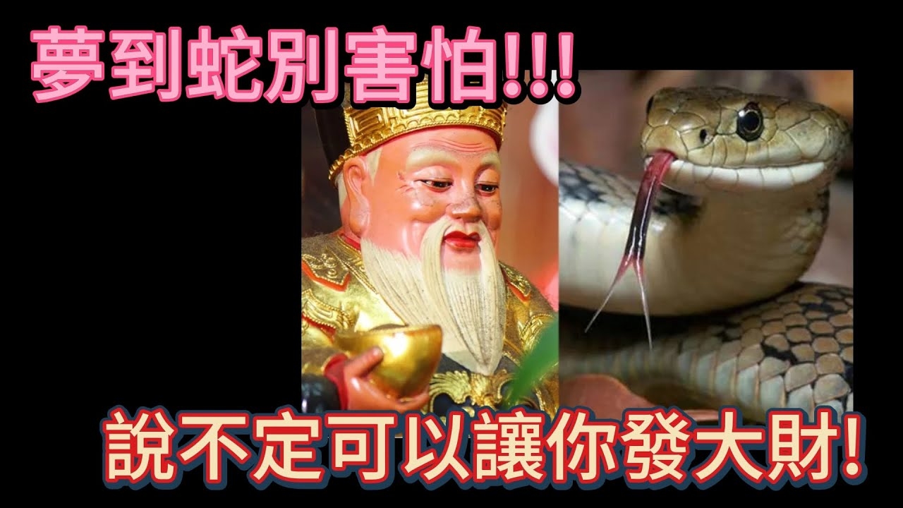 梦到蛇,预兆内心不安与未来机遇插图 梦到蛇,预兆内心不安与未来机遇插图