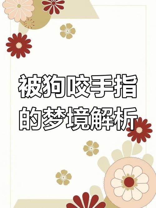 梦到狗咬手指，潜意识中的警示与情感释放插图