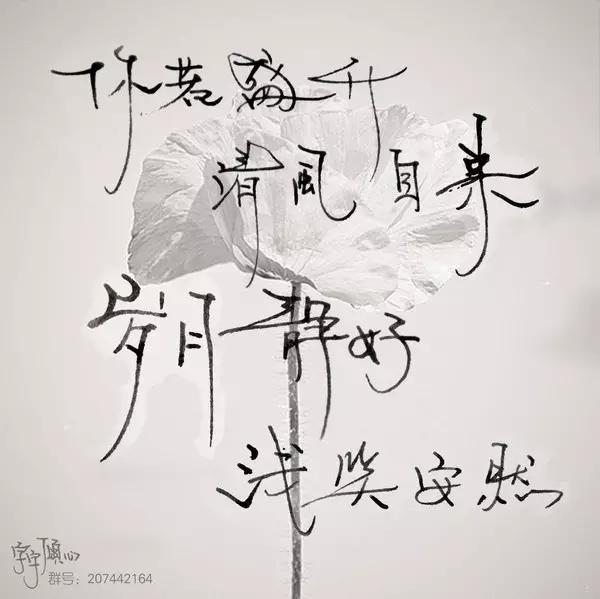 梦见别人给自己照相，祥瑞之兆，预示新机遇与事业发展插图