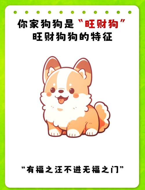 梦见白狗，纯洁与忠诚的象征插图