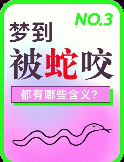 梦见被蛇追,周公解梦揭示潜在挑战与内心恐惧的警示信号插图 梦见被蛇追,周公解梦揭示潜在挑战与内心恐惧的警示信号插图