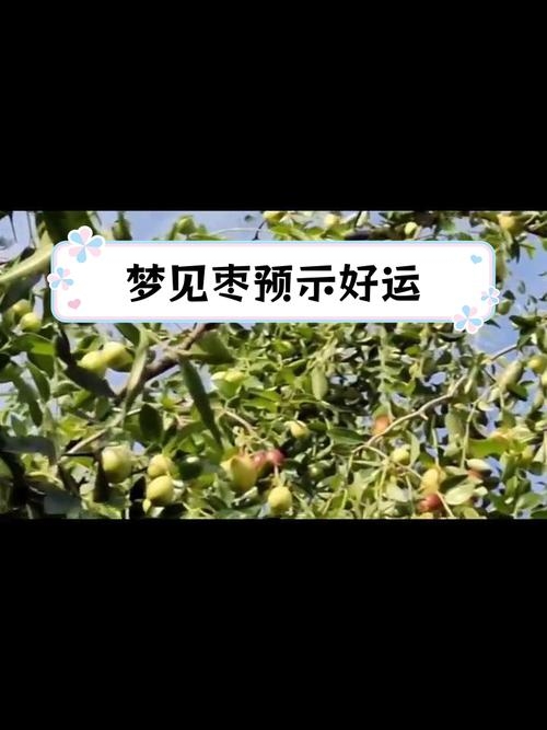 梦见吃枣子，甜蜜梦境的深层寓意插图