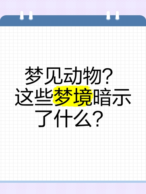 梦见动物,梦境中的神秘访客插图 梦见动物,梦境中的神秘访客插图