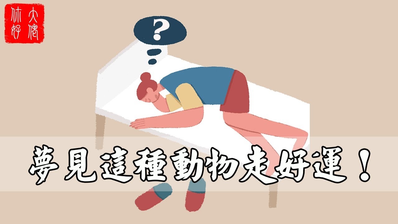 梦见动物预示吉凶，解读梦境中的奥秘插图