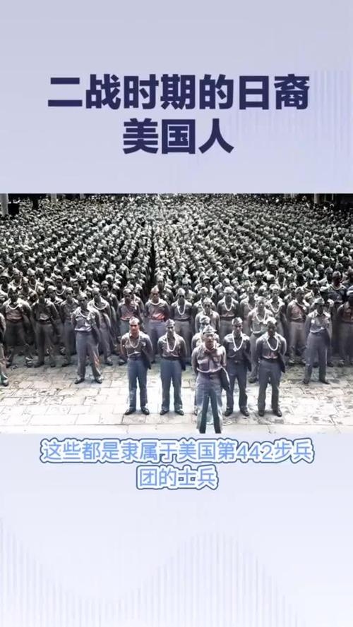 美军第442步兵团，日裔士兵的荣耀与贡献插图