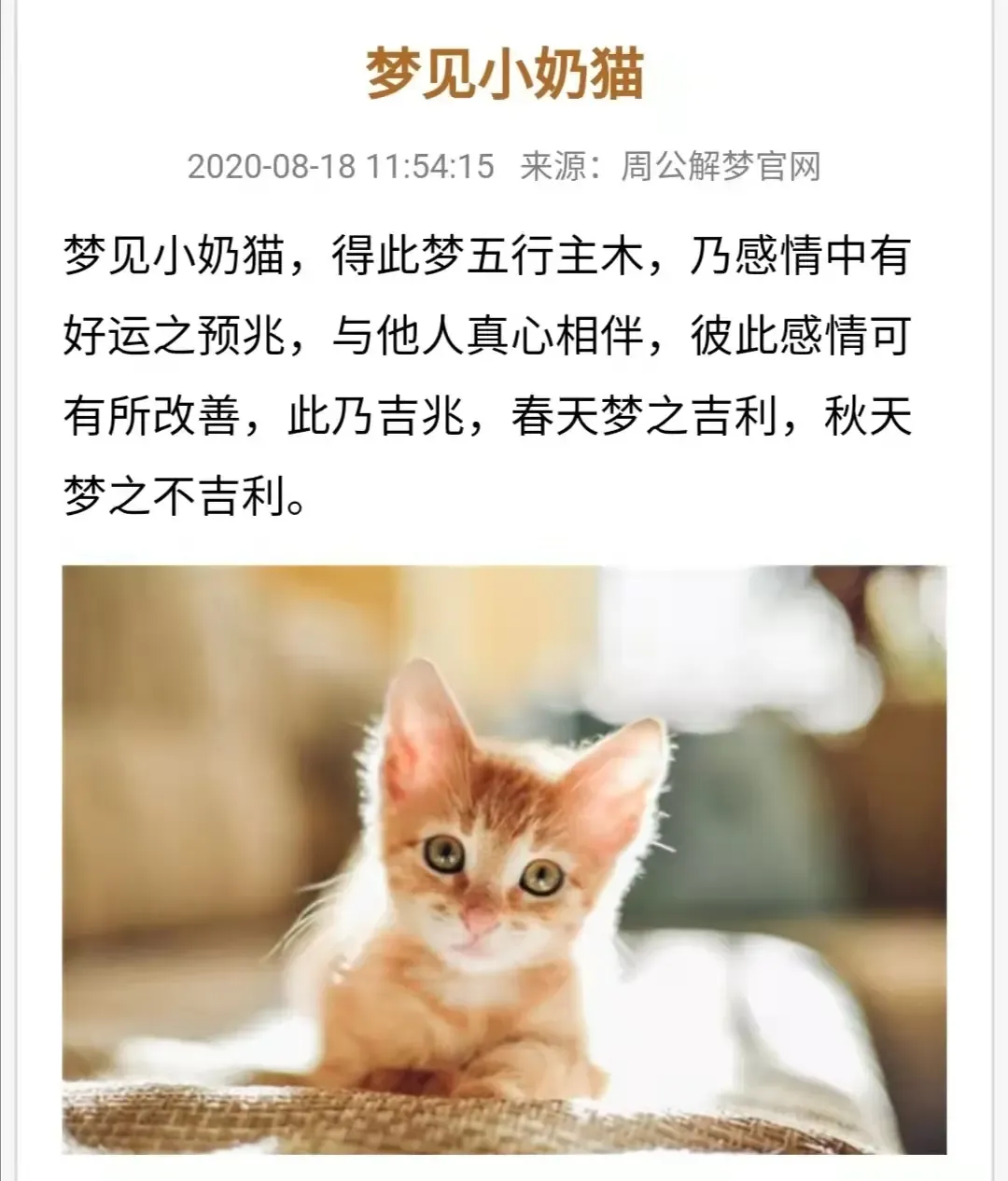 梦见多猫，好运、爱情与家庭和谐的预兆插图
