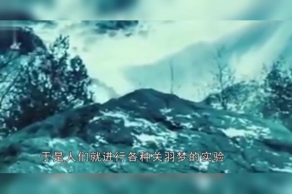 梦见过生日，探寻内心与未来的预兆插图