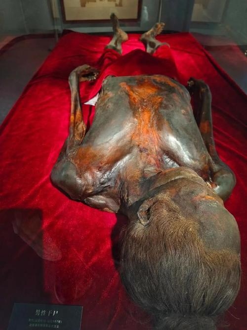 梦见干尸,预示人生变化,需积极面对挑战插图 梦见干尸,预示人生变化,需积极面对挑战插图