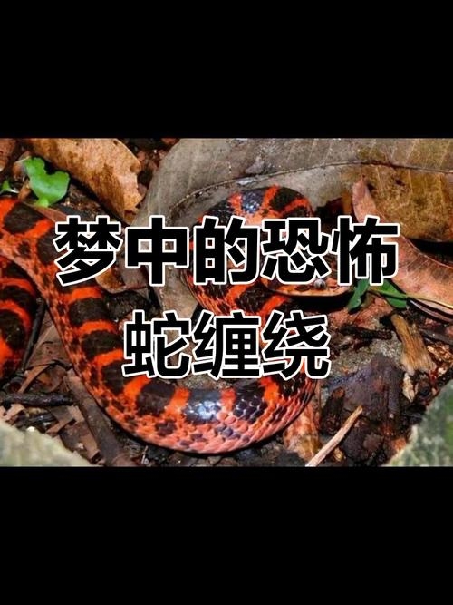 梦见杀蛇，一场惊悚梦境背后的神秘召唤插图