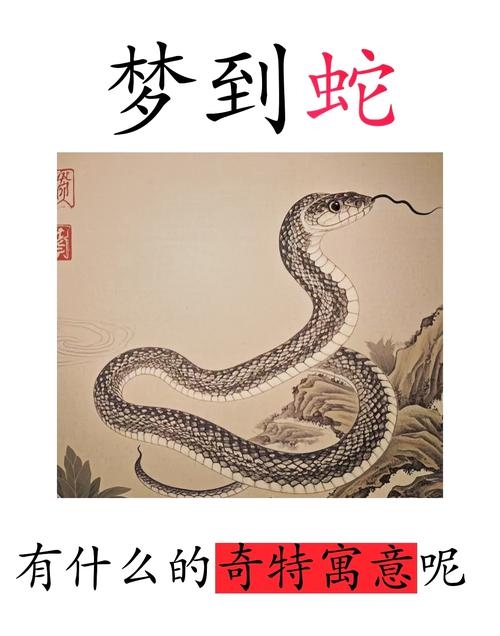 梦见杀蛇预示生活顺遂，提升表现力，考生考试成功插图