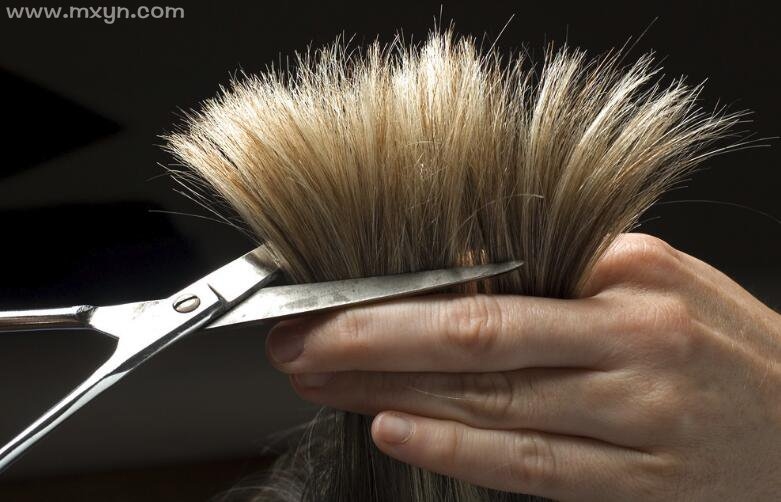 梦见头发被剪，财富与新生的预兆，女性需防妇科炎症。插图