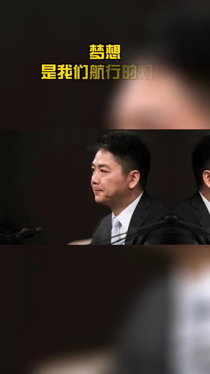 梦见赶不上飞机，焦虑与机遇的交织，预示着努力与挑战并存。插图