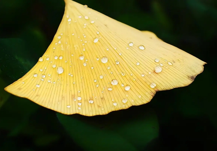 梦见剪发预示财运好转、生活安稳，或表明寻求改变插图