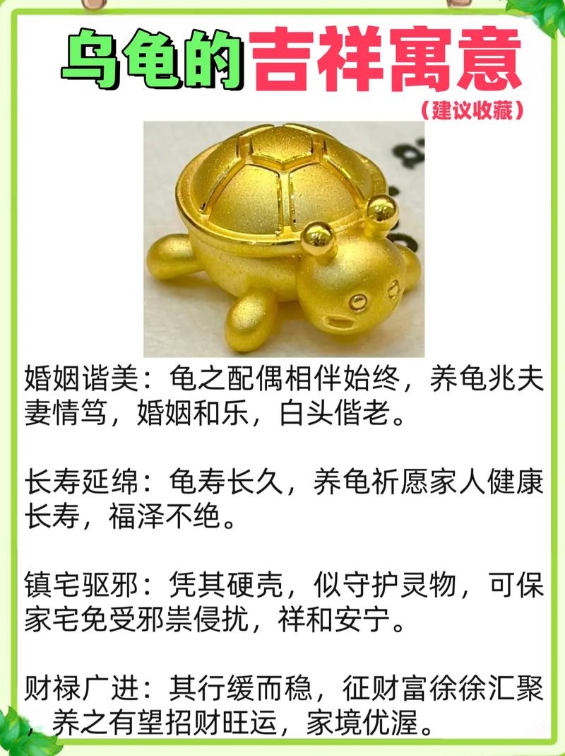 梦见乌龟，长寿、财富与智慧的象征插图
