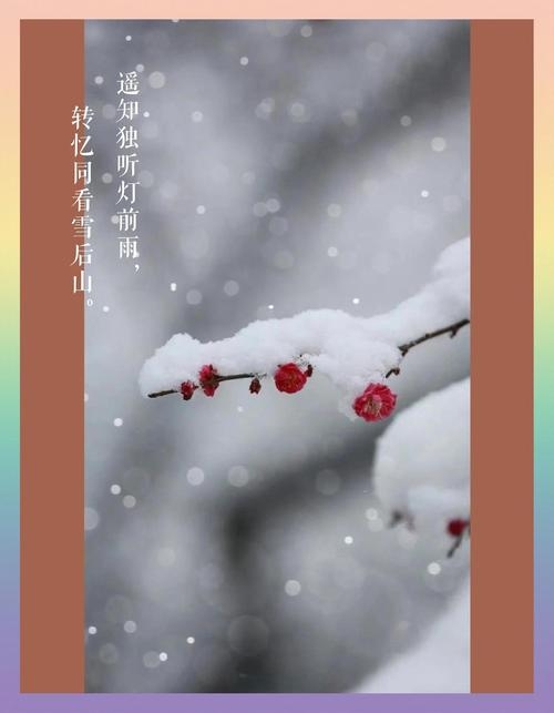 梦见下雪，冬季的诗意与心灵慰藉插图
