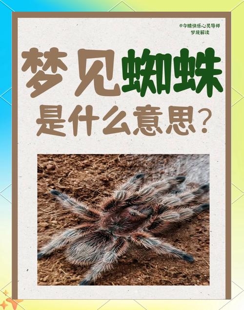 梦见蜘蛛网，解读梦境中的神秘意象与心理意义插图