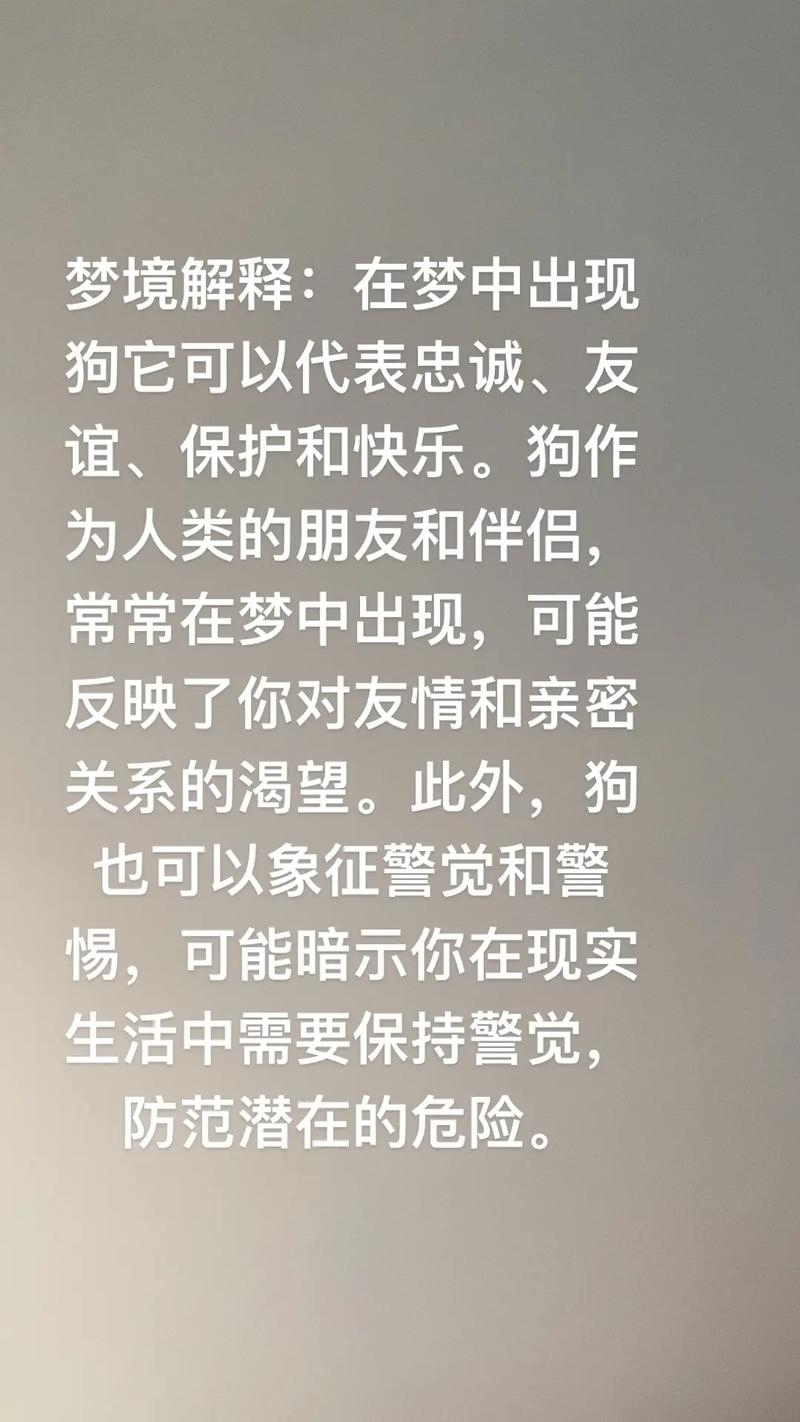 梦见喂狗，梦境中的温情与启示插图