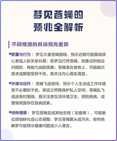 梦见苍蝇，梦境背后的深层含义与解析插图