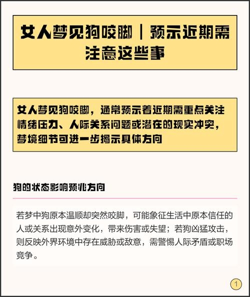 梦见狗咬脚，梦境背后的深层含义与解析插图