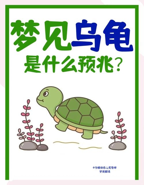 梦见乌龟咬人，梦境背后的深层含义与解析插图