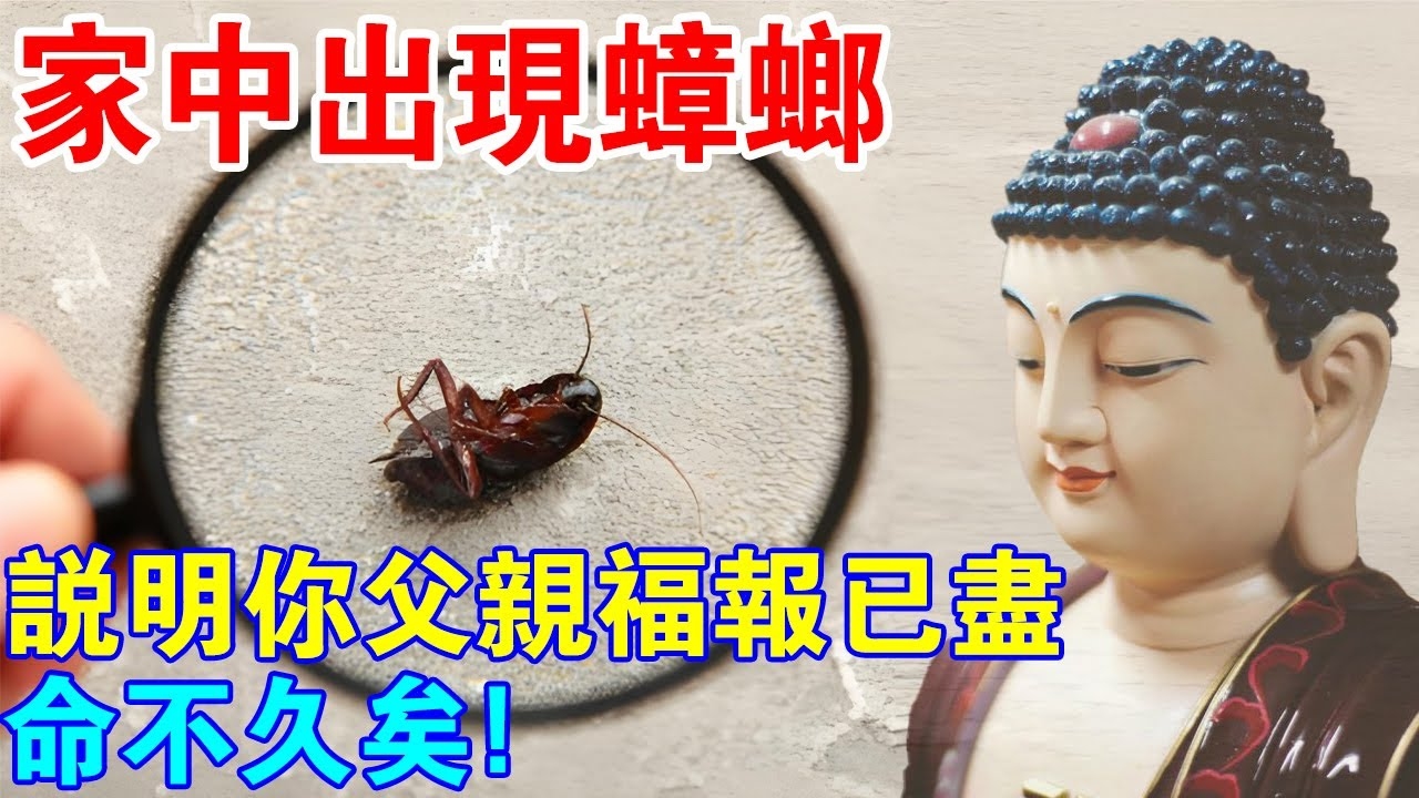 梦见蟑螂，财富、贵人相助与心理暗示的象征插图