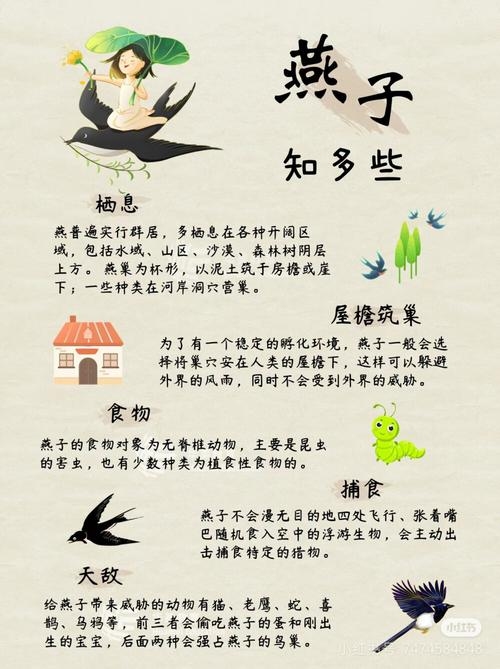 梦见燕子，灵动之梦的寓意与启示插图