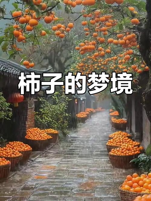 梦见柿子，丰收与希望的预兆插图