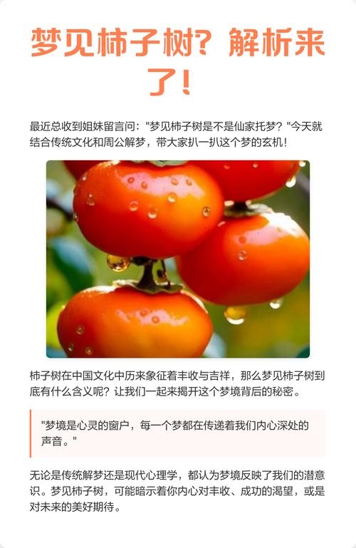 梦见柿子树，与他人相处不安，柿子寓意有喜有难；结果对个人重要，红红柿预示成果丰硕。插图