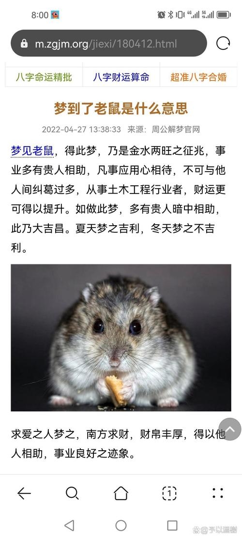 梦见耗子预示生活困境插图