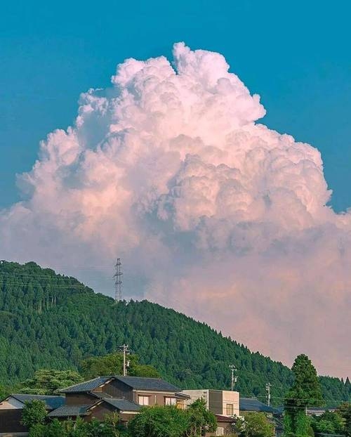 梦境中的车祸，一场无法逃避的罪恶感插图