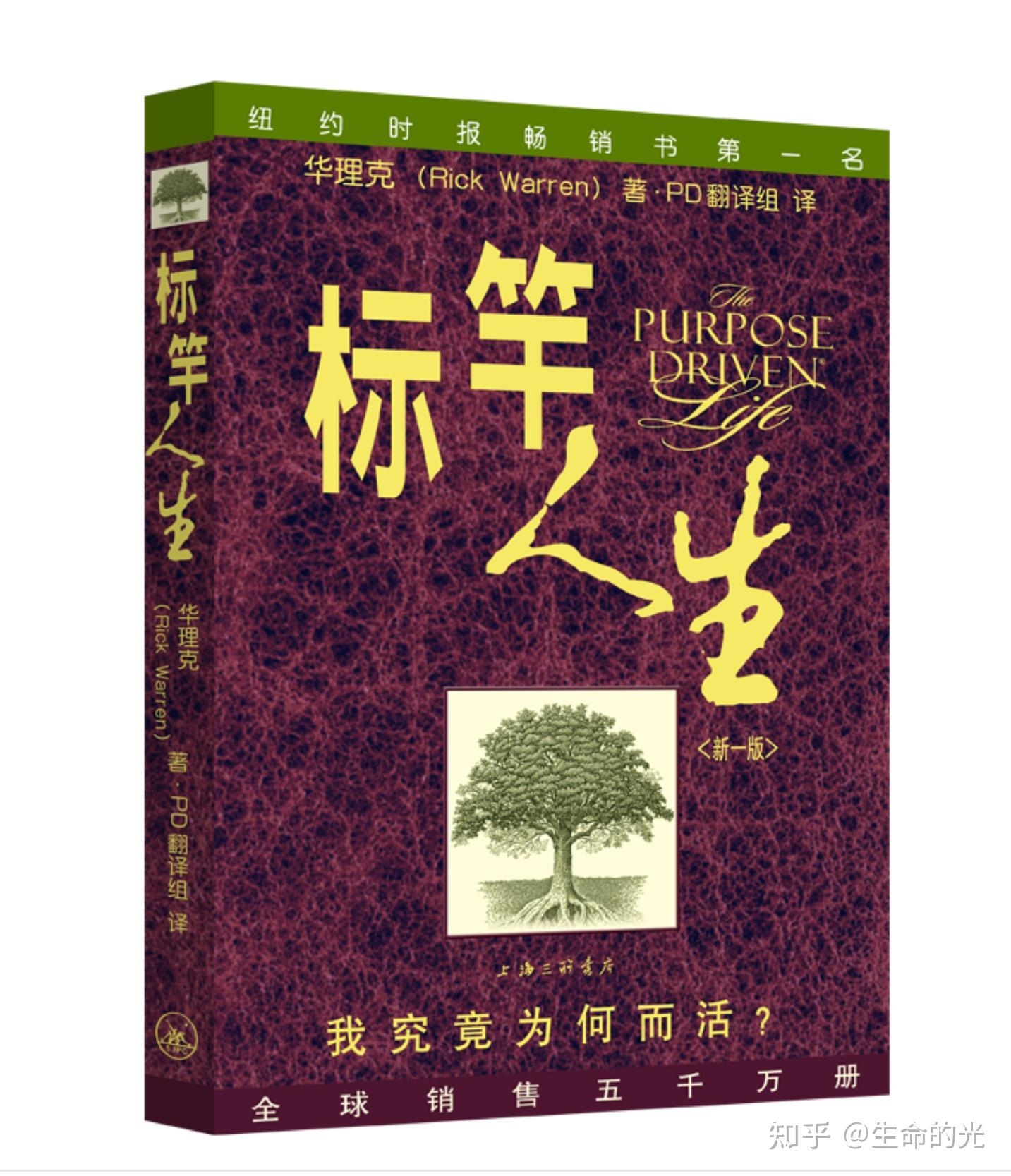 迷路梦境，指引人生方向与压力释放的隐喻插图