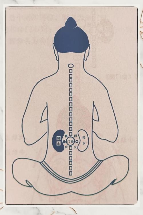 命理学入门，探索个人命运的神秘之门插图