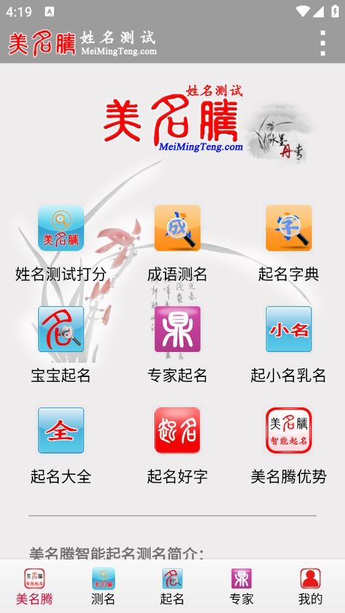 美名腾起名服务插图