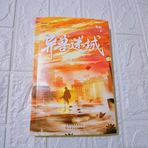 梦入虎穴，寻龙得序的奇幻之谜插图