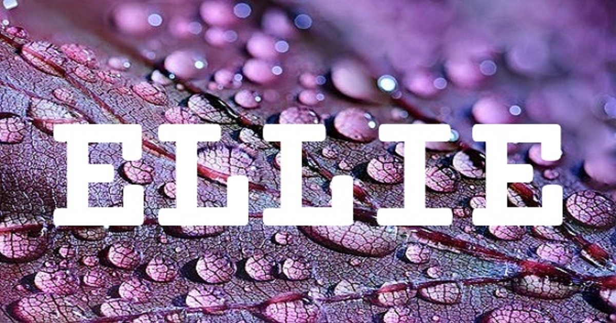 美式英文名，大胆运用Ellie的魅力插图