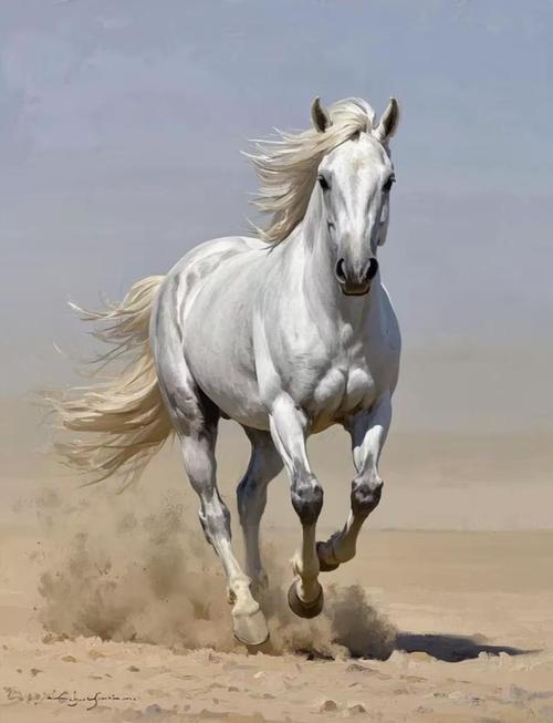 马为代表迅速奔跑,探索未知。插图 马为代表迅速奔跑,探索未知。插图