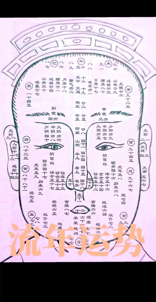 面相观知性格，顺势而为迎生活插图