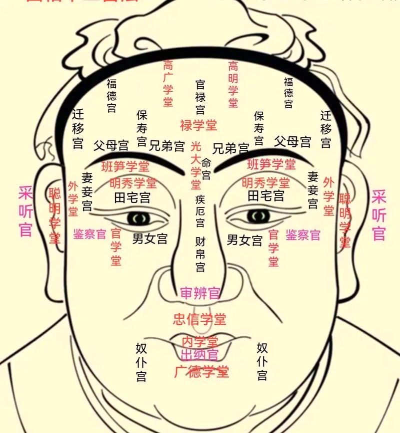 面相看财运，揭秘古老智慧与现代解读插图